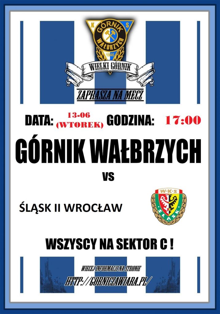 gornik slask